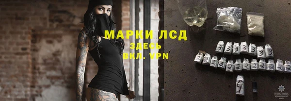 ПСИЛОЦИБИНОВЫЕ ГРИБЫ Елизово