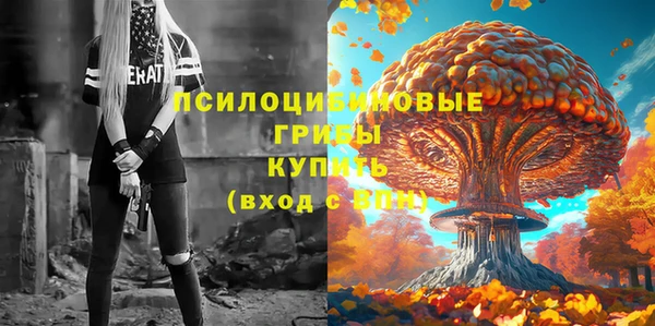ПСИЛОЦИБИНОВЫЕ ГРИБЫ Елизово