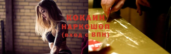 спиды Ельня