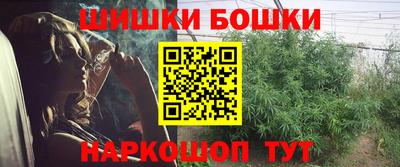 индика Жуковский