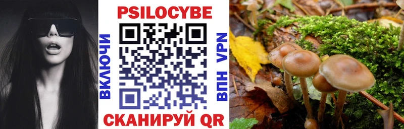 omg зеркало  наркота  Карачаевск  Псилоцибиновые грибы Magic Shrooms 